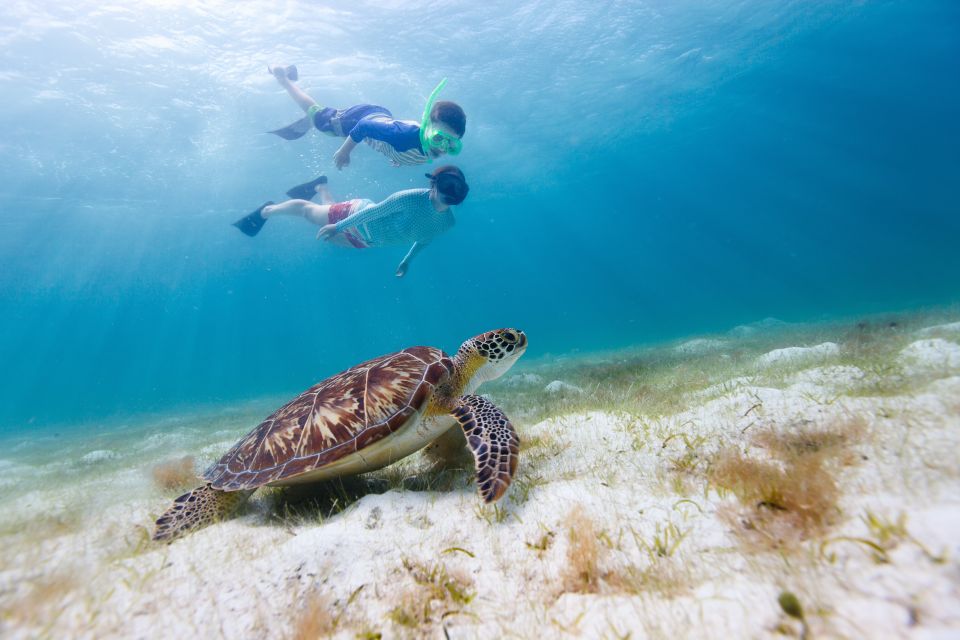 Honolulu> Waikiki Turtle Canyon Snorkeling and Swimming Tour - Inclusions and Price Information