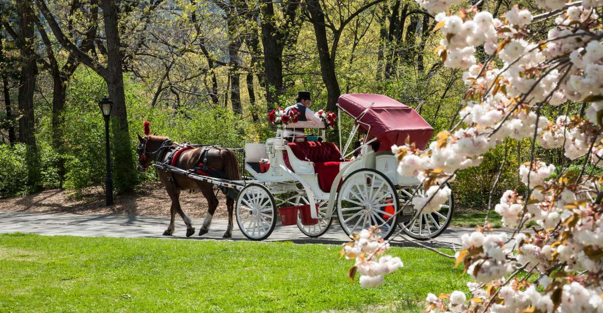 Horse and Carriage Rides Central Park - Tour Description