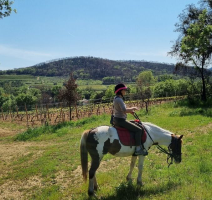 Horse Back Riding + Wine Tasting in the Maures Forest - Pricing and Duration