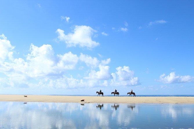Horseback Riding Tour in Cabo San Lucas - Customer Reviews