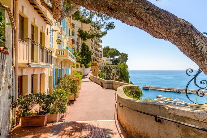 Italian Coast, French Riviera , Menton & Monaco Customizable Tour - Customization Options