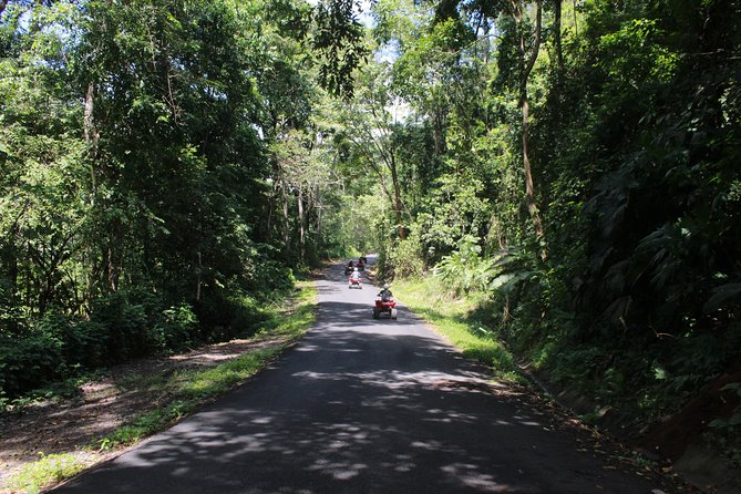 Jaco Private 3-Hour Off-Road ATV Tour  - Puntarenas - Wildlife Encounters