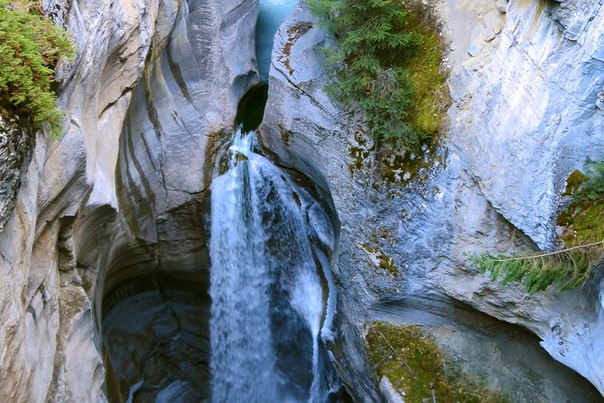Jasper Wildlife and Waterfalls Tour With Maligne Lake Hike - Wildlife Sightings and Scenic Locations