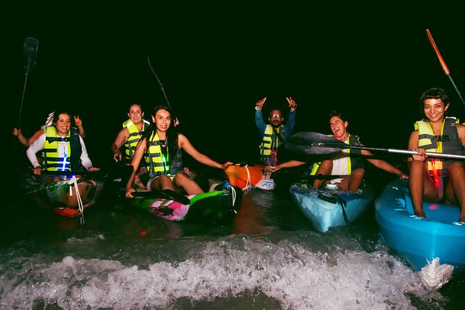 Kayak Experience and Swiming With the Bioluminescence in Holbox - Inclusions