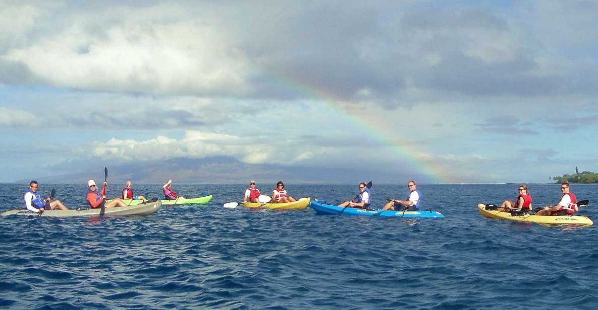 Kayaking and Snorkeling at Turtle Reef - Language and Group Size