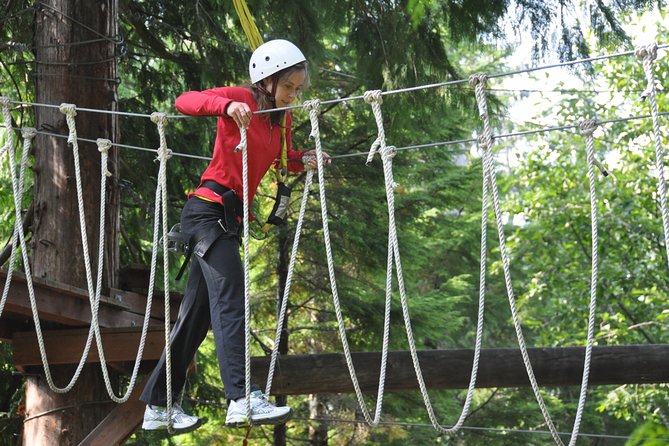 Ketchikan Shore Excursion: Rainforest Canopy Ropes and Zipline Adventure Park - Included Services and Policies