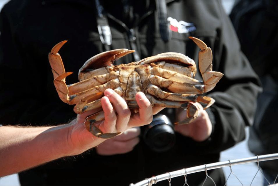 Ketchikan: Wilderness Boat Cruise and Crab Feast Lunch - Booking Information