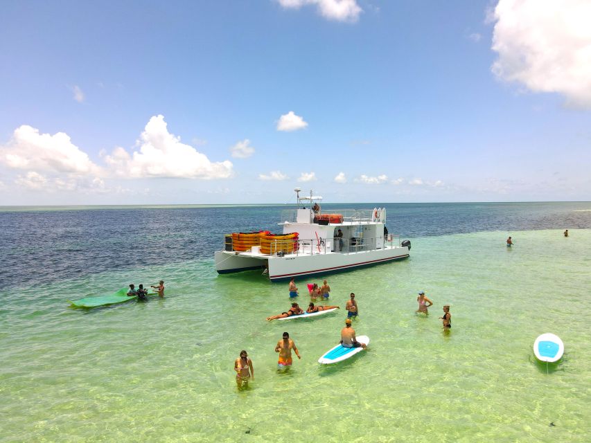 Key West Sandbar Excursion & Dolphin Tour Includes Beer Wine - Customer Review