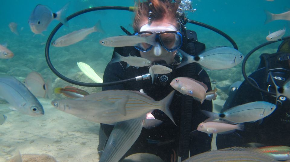 Kos: Beginner Scuba Diving at Pserimos Island - Inclusions