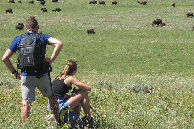 Lamar Valley Safari Hiking Tour With Lunch - Expectations and Additional Information