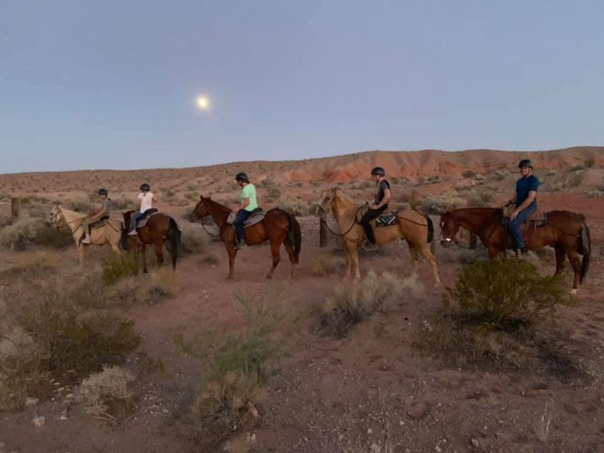 Las Vegas: Sunset Horseback Riding Tour With BBQ Dinner - Customer Reviews