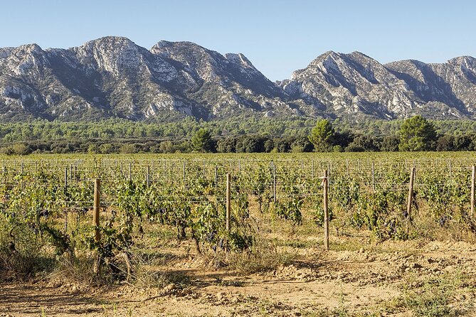 Les Baux De Provence: Wine Day Tour: 8 Hours - Historical Attractions Visited