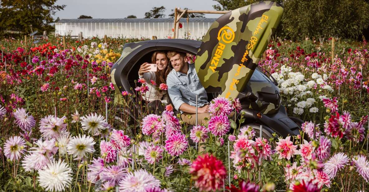 Lisse: Drive-it-Yourself Summer Flower GPS Audio Tour - Experience Highlights