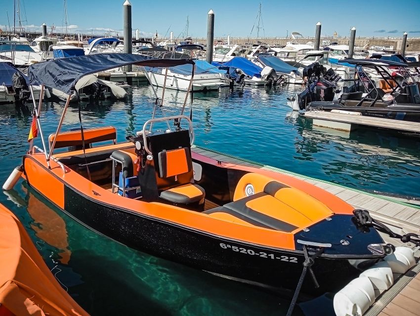 Live the Ocean Without License and Discover Los Gigantes - Experience Description