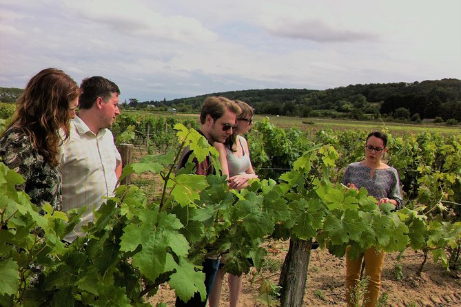 Loire Valley Half Day Wine Tour From Tours : Vouvray Wine Tasting - Customer Reviews