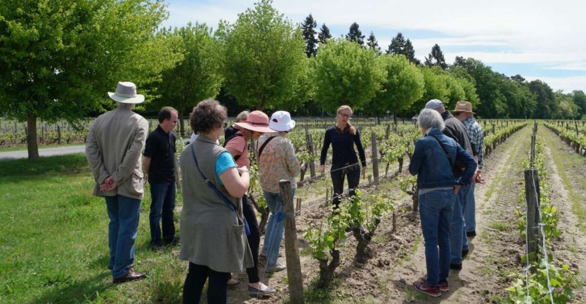 Loire Valley Tour & Wine Tasting Vouvray, Chinon, Bourgueil - Highlights