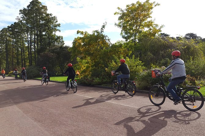 Lyon Small-Group Guided Electric Bike Tour With a Local Guide - End Point Details