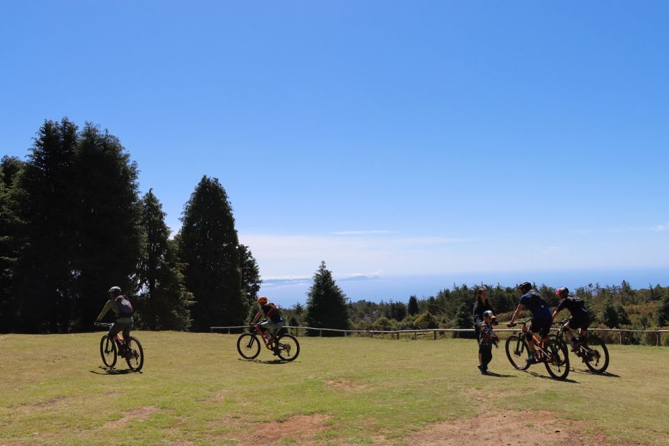 Madeira - Mountain Biking Tour - Highlights