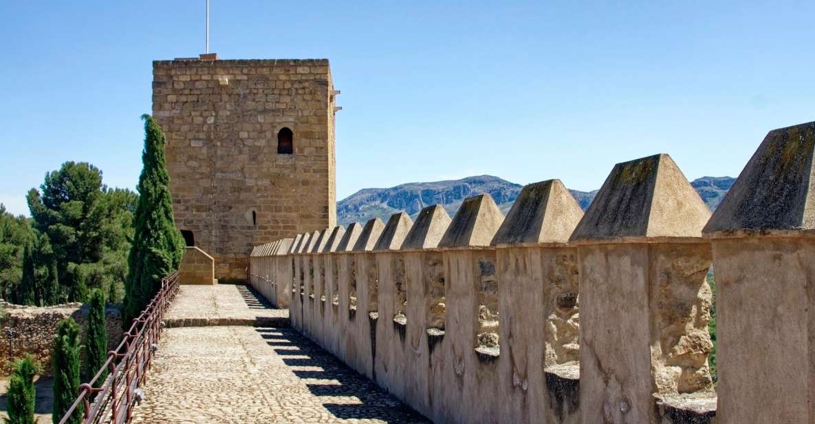 Malaga - Private Historic Walking Tour - Cancellation Policy