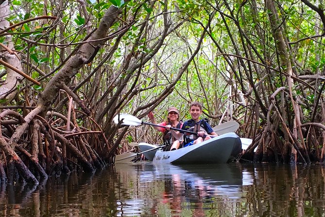 Mangrove Tunnels, Manatee, and Dolphin Sunset Kayak Tour With Fin Expeditions - Cancellation Policy and Ticketing