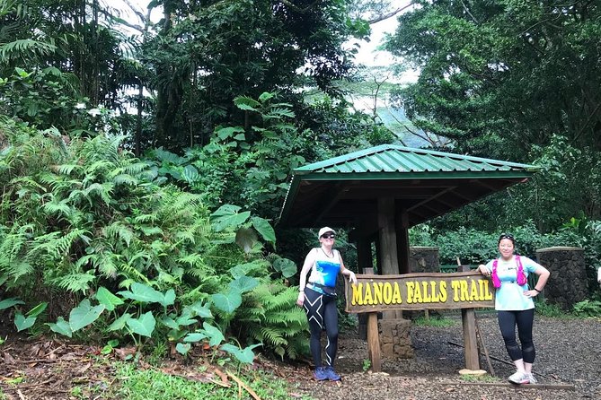 Manoa Waterfalls Hike With Local Guide - End Point Logistics and Policies