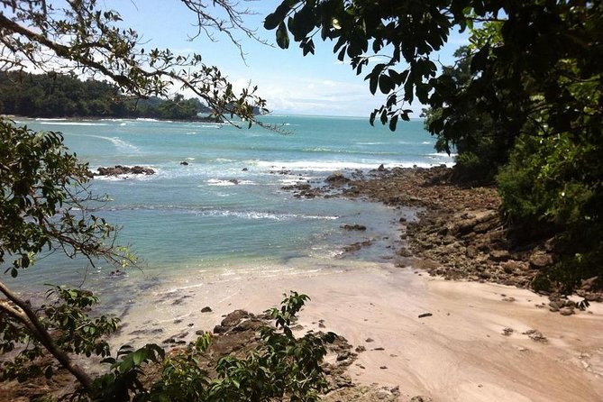 Manuel Antonio National Park Guided Tour - Customer Ratings