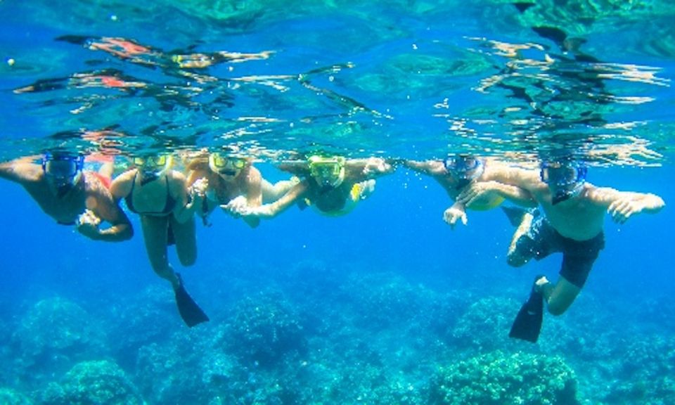 Maui: Cruise With Snorkeling and Barbecue Lunch - Experience Highlights