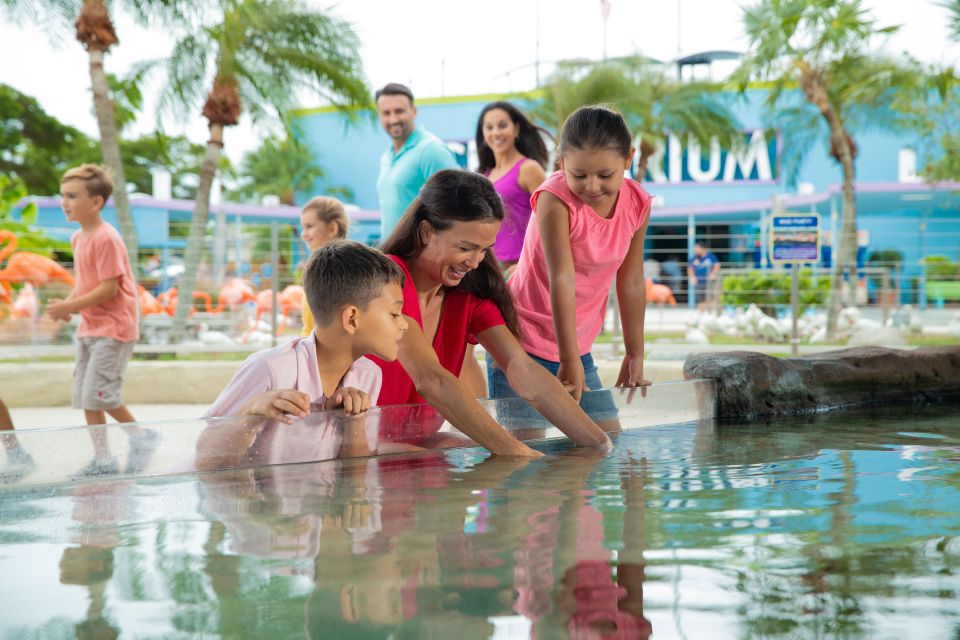 Miami: Seaquarium Entrance Ticket With Dolphin Encounter - Experience Overview