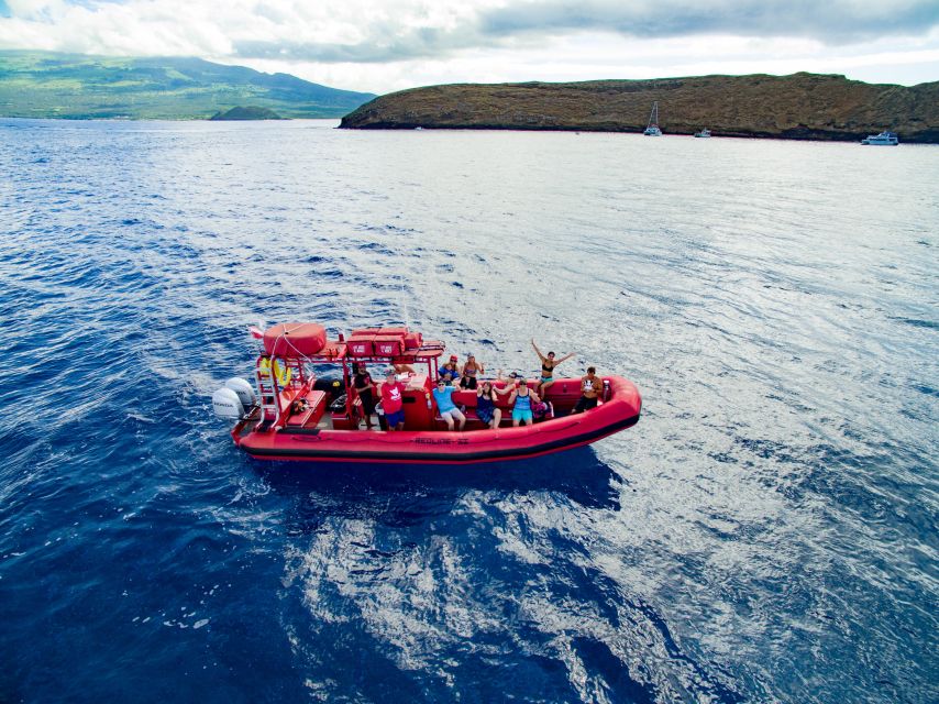 Molokini Snorkel & South Maui Coast Tour - Experience Highlights