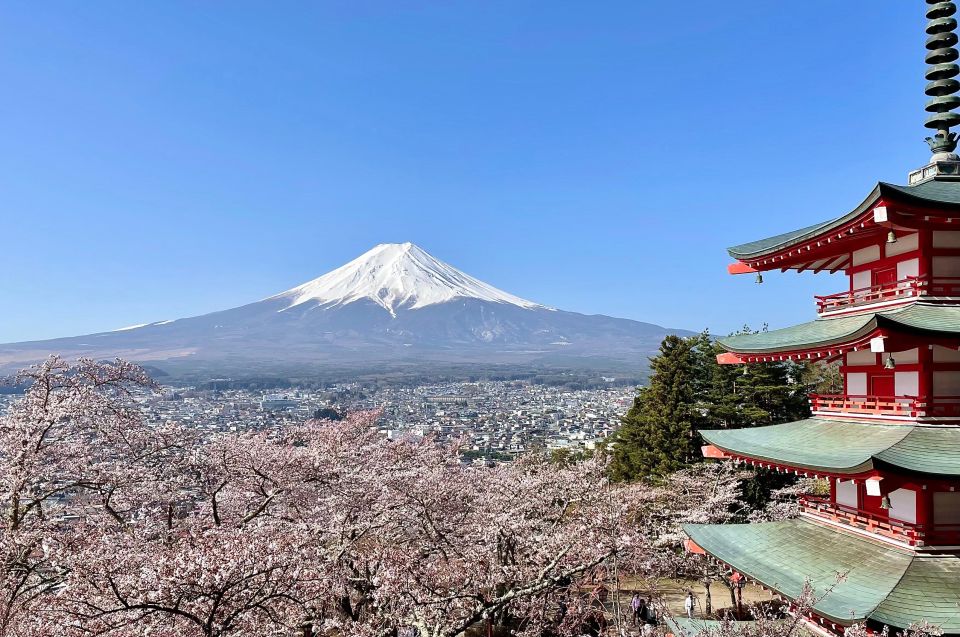 Mt.Fuji Area, 1 Day Private Car Trip(English Guide Tour) - Inclusions and Booking Details