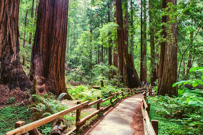 Muir Woods With Napa & Sonoma Wine Tour - Inclusions and Amenities