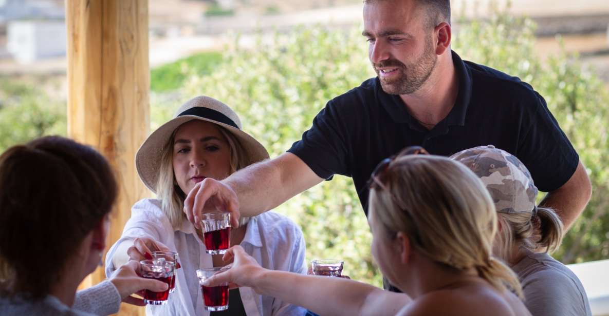 Mykonos: Winery Vineyard Experience With Food & Wine Tasting - Inclusions