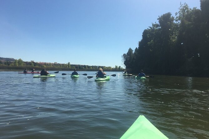 Napa Valley River History Kayak Tour: Single Kayaks - Cancellation Policy