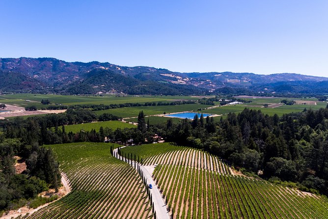 Napa Valleys Best Wine Tour W/ Local Expert - Personalized Winery Exploration