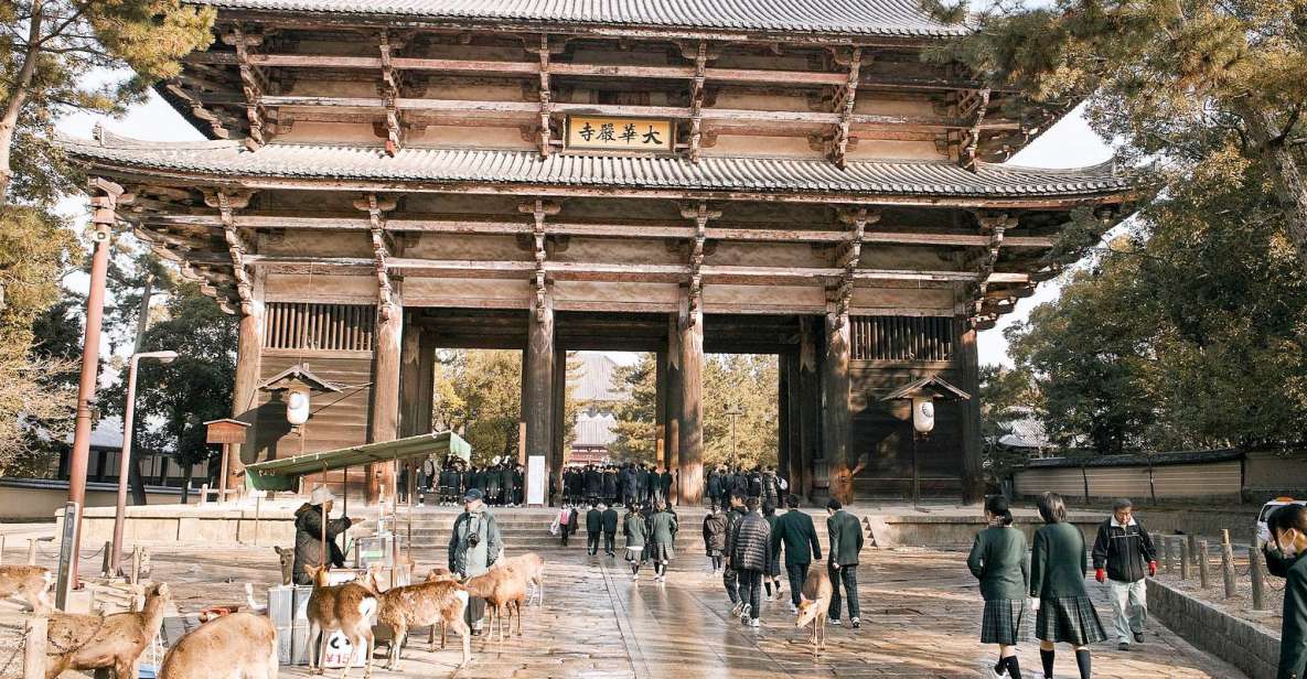 Nara Like a Local: Customized Guided Tour - Experience Highlights