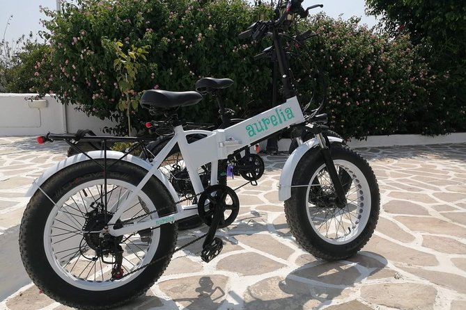 Naxos: E-Bike Rental Experience - Booking Confirmation and Accessibility