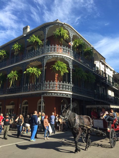 New Orleans: Traditional City and Estate Tour - Tour Experience Overview