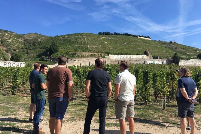 Northern Rhône Valley Day Tour With Wine Tasting From Lyon - Booking and Pricing Details