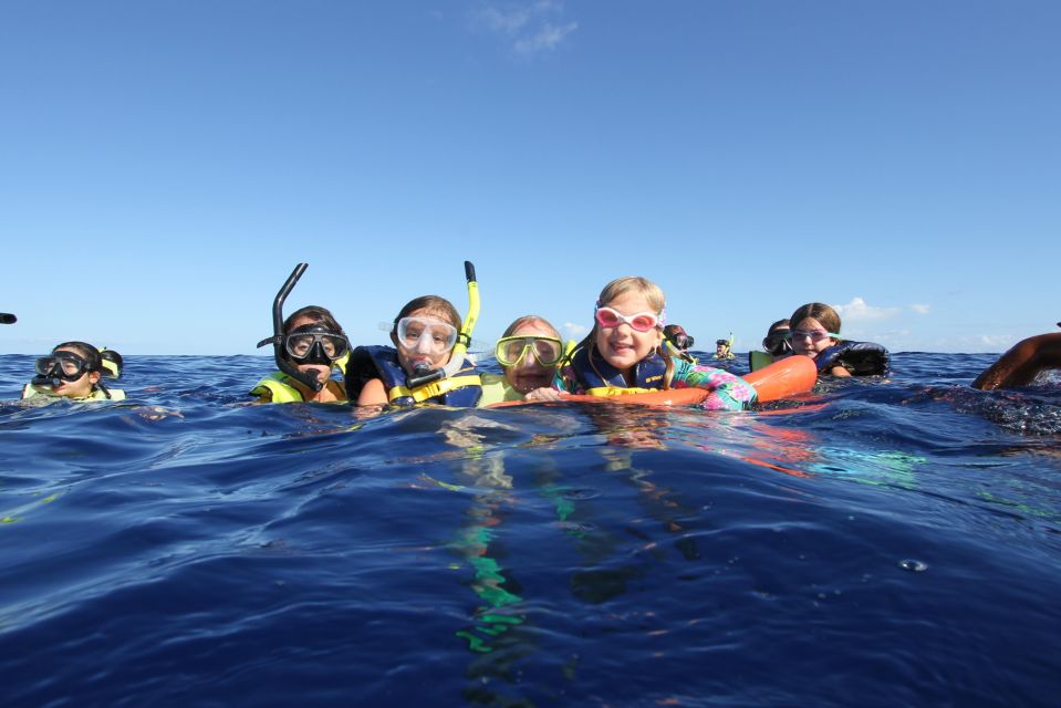Oahu: Dolphin Swim and Snorkeling Speedboat Tour - Tour Experience
