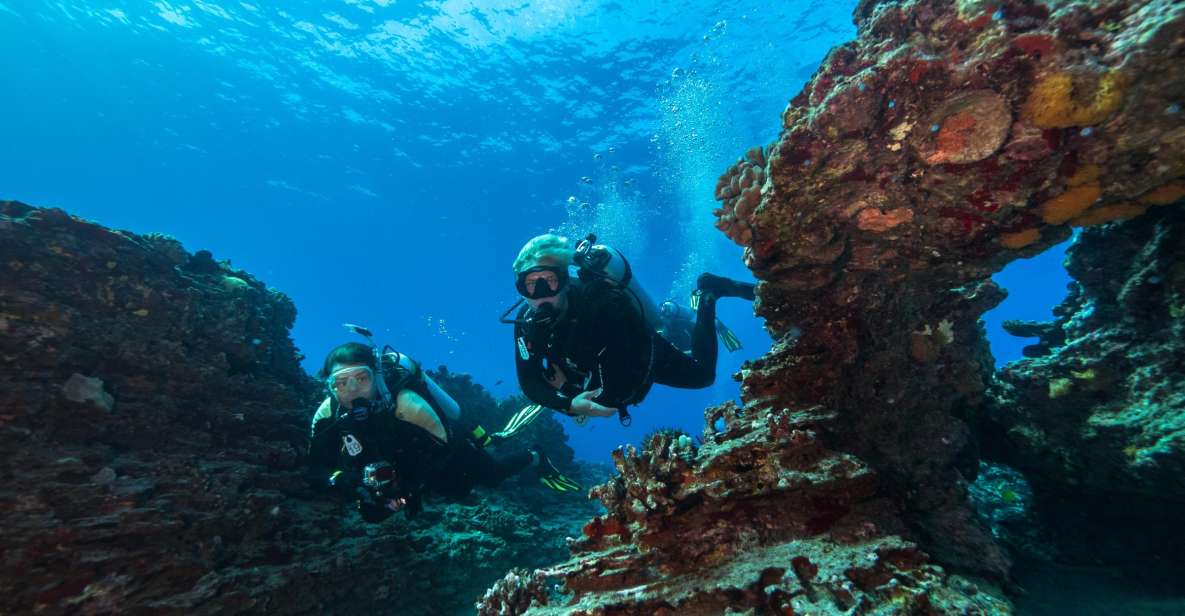 Oahu: Shallow Reef Scuba Dive for Certified Divers - Diving Experience