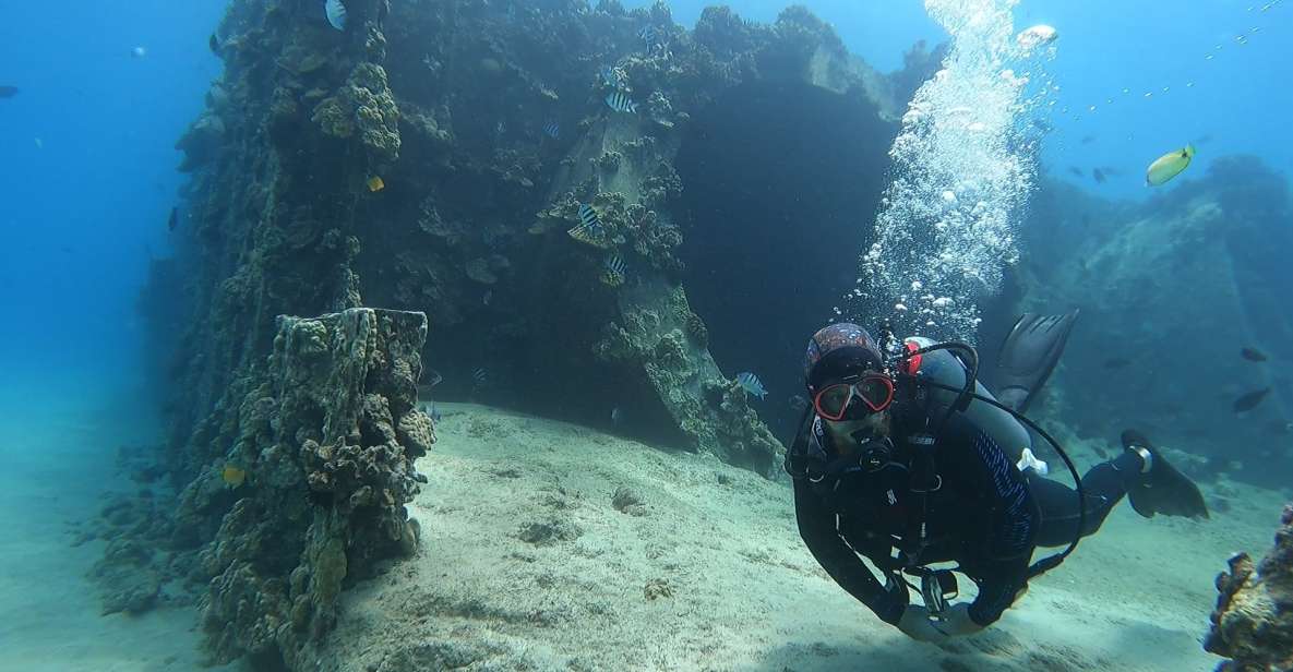 Oahu: Try Scuba Diving From Shore - Experience Highlights