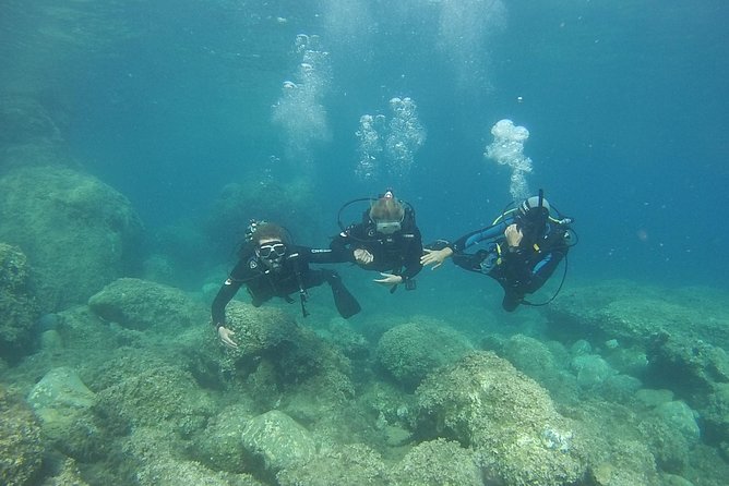 Padi Discover Scuba Diving - Benefits of Padi Discover Scuba Diving