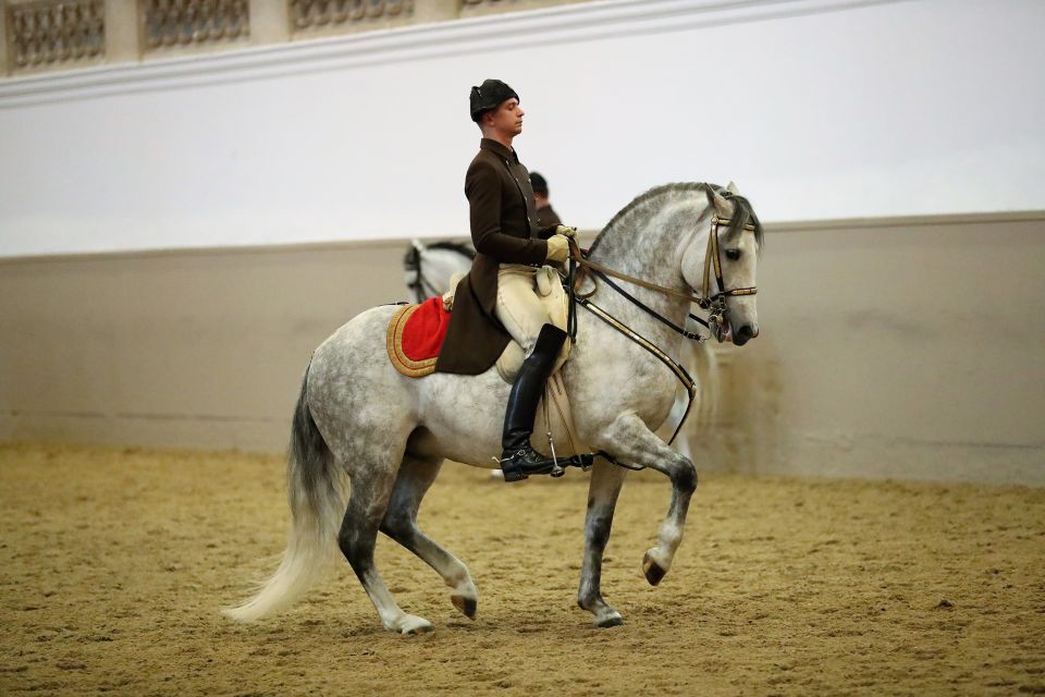 Performance Of The Lipizzans At Spanish Riding School - Equine Mastery Demonstrations