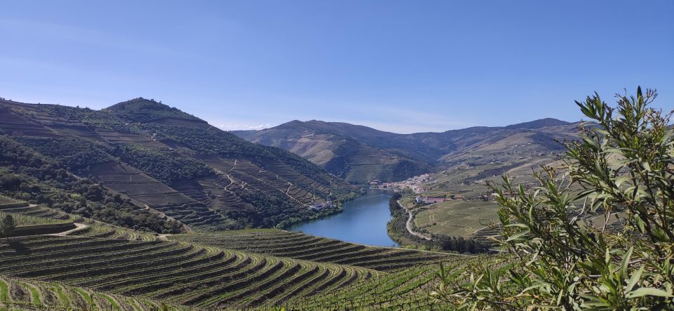Pinhão: Douro Valley With Wine Tasting, Boat Trip and Lunch - Tour Details