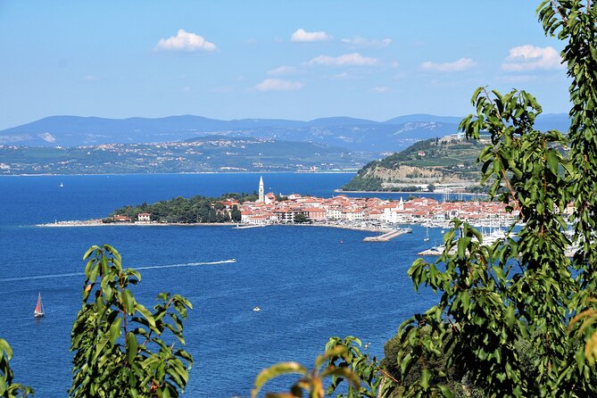 Piran and Coastal Towns Half-Day Small-Group Tour From Trieste - Pricing and Reservations