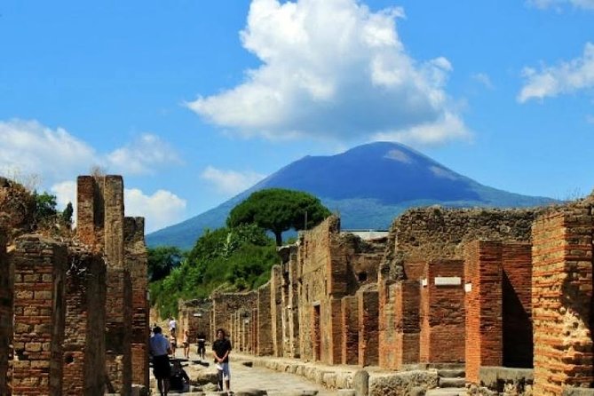 Pompeii, Mt Vesuvius and Wine Tour - Customer Reviews and Ratings