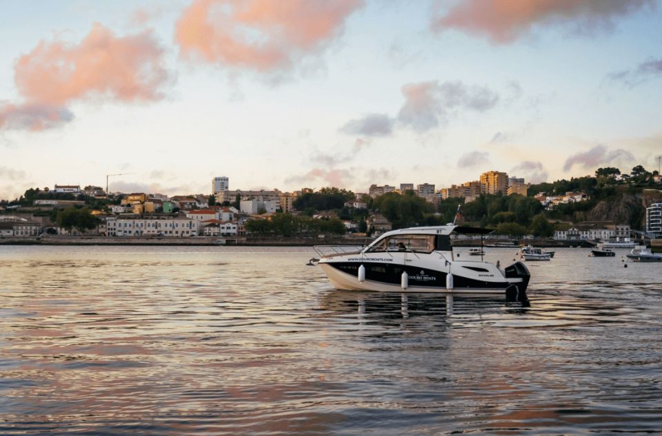 Porto: Private Boat Tour in Douro River - Language Options and Tour Highlights