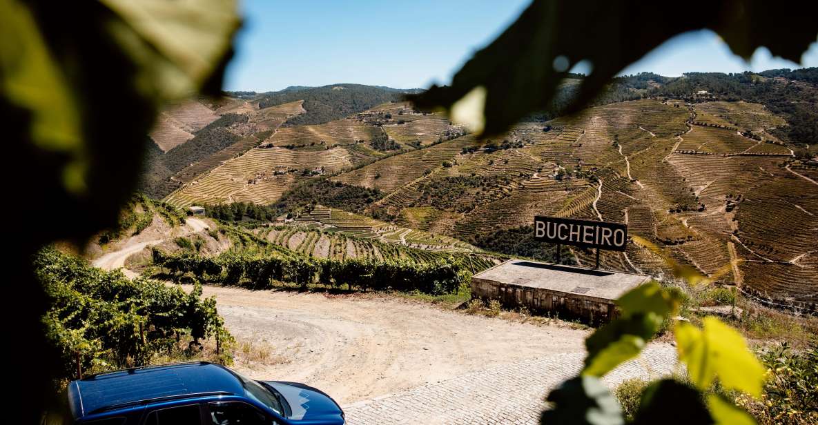 Porto: Private Douro Valley 4x4 Tour With Lunch - Tour Duration and Languages