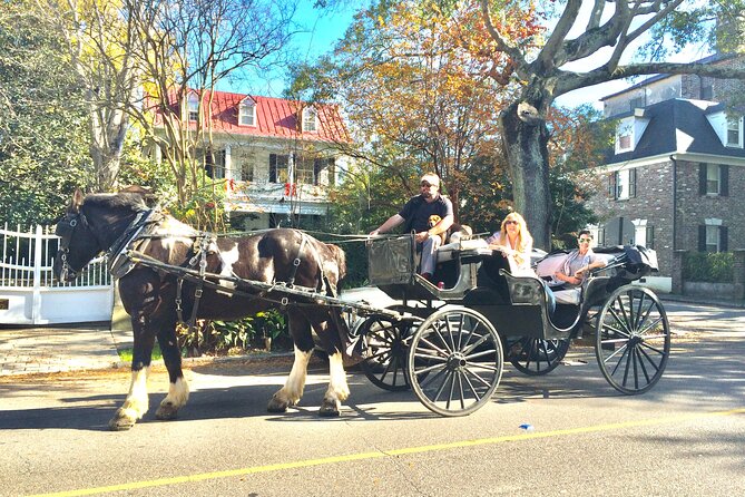 Private Historic Horse & Carriage Tour of Charleston - Logistics