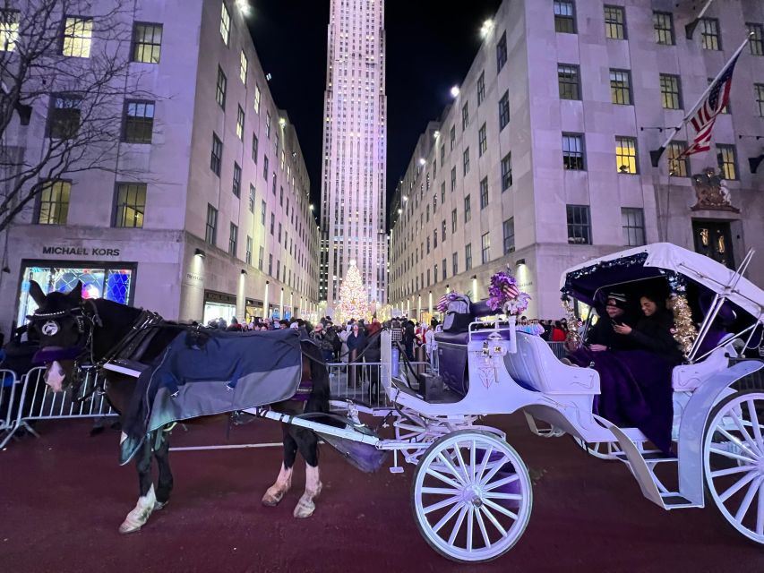 Private NYC Lights or Christmas Lights Horse Carriage Tour - Live Tour Guide and Language